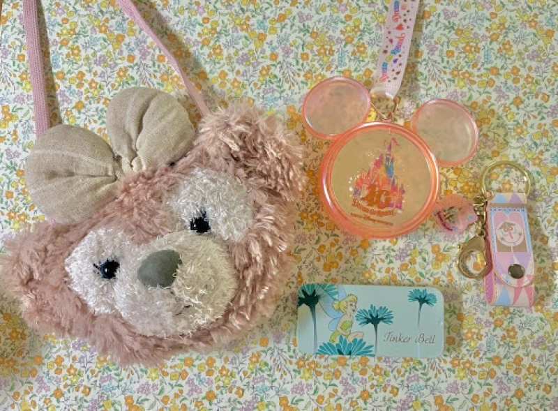 2y6m☺︎子連れディズニー☺︎ディズニーに行く時の持ち物Happy Mother's Diary ♡ 8歳男の子ママ