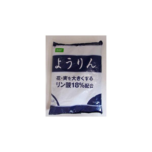 コメリの2025年 “先取り福袋”を販売します！家の中を手軽にリフォーム“先取りリフォーム福袋”も同時開催 | めざましmedia