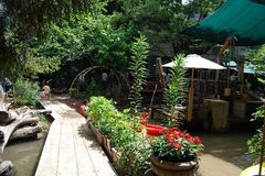 古巣で遊ぶ: ゆっくり のんびり おっとりと♪