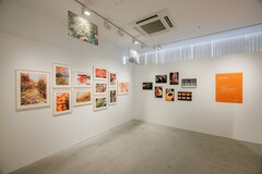 京本大我の家族構成 父親と母との仲良しエピソード19選！兄弟・名前・職業は？画像もジャニウィキ