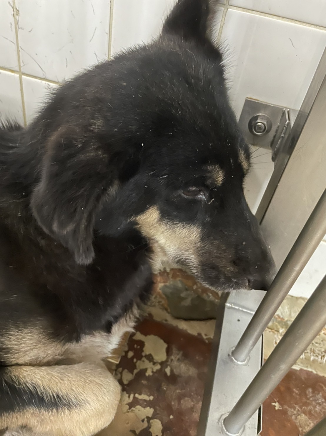 クロちゃんの親の職業を調査！仕送り総額6000万円で実家は金持ち？お笑いブログ