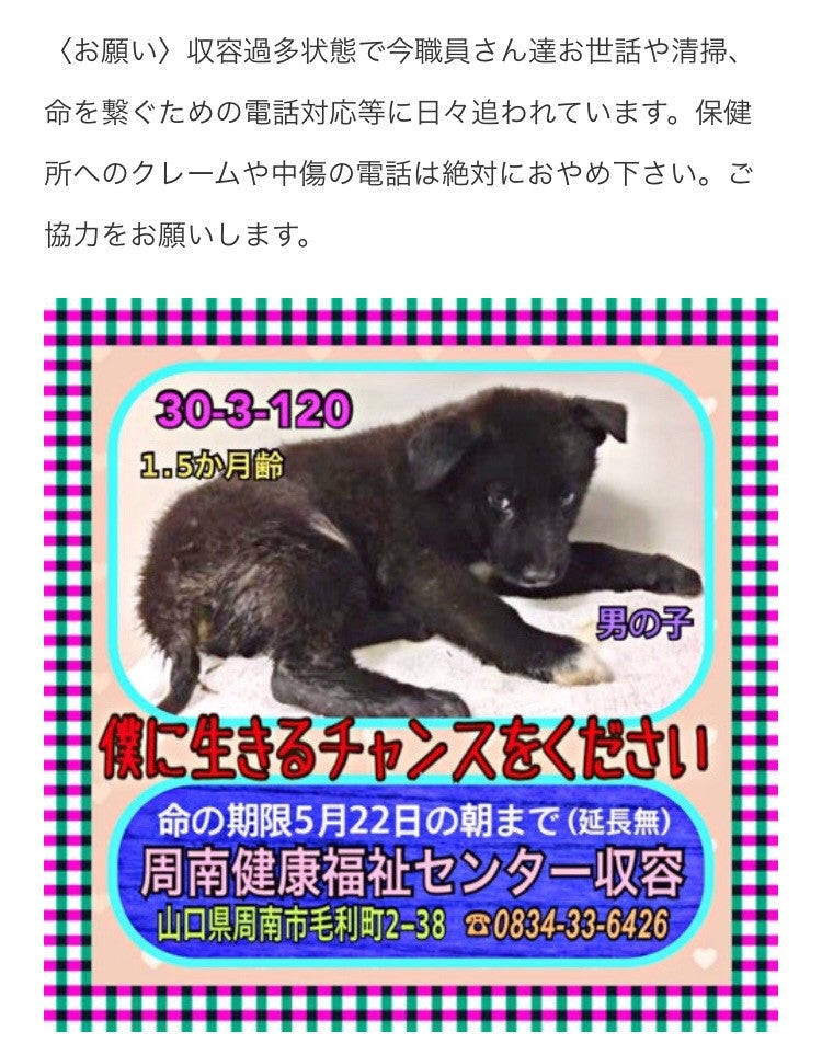 中学では生徒会長だったクロちゃん 写真で振り返る「クズ半生」2019年3月9日掲載- ライブドアニュース