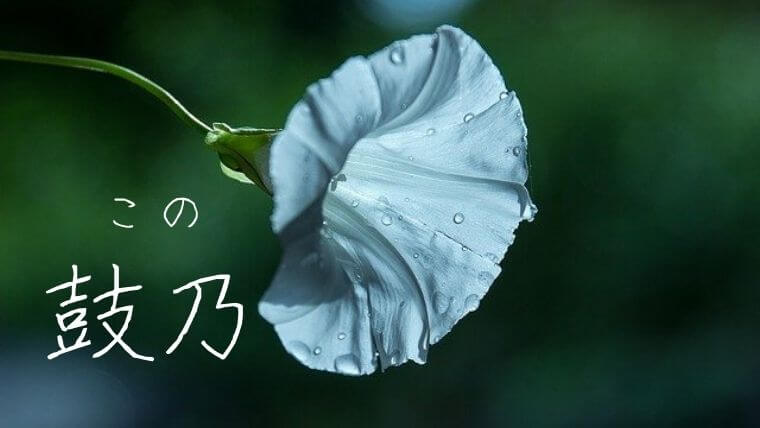 夏生まれの女の子の名前~夏の花編~ 夢葵、日葵、紫花、etc- YouTube