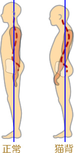 Amazonclausius 小学生 幼稚園 子供用 猫背 矯正 サポーター ブラック 身長120cm～130cm Sサイズclausius クラジウス背中用