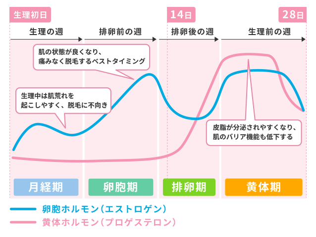 アレッ!? 私、濡れない体になったかも…これって加齢によるもの？【人には聞けない婦人科系のお悩み】 | Domani