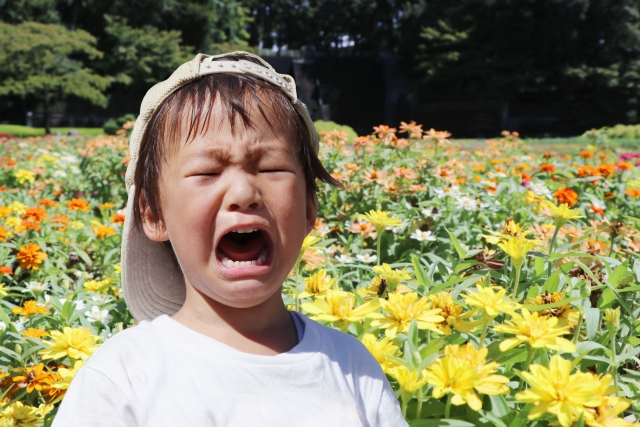 スーパーで転がって大泣き」今となっては笑えるんだけど 子どもの絶頂イヤイヤ期 どう乗り切る？ 専門家に聞く たまひよ