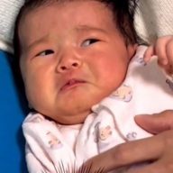 楽天市場 大福ギフト クリーム大福「赤ちゃんのほっぺ」選べる10個セット 生チョコ・こしあん・マロン・抹茶・いちご・みるく・カスタードプリン・紫いも 山川製菓 ふんわり食感 やわらか生地お土産 手土産 プレゼント ギフトに！贈り物送料無料: 新潟県