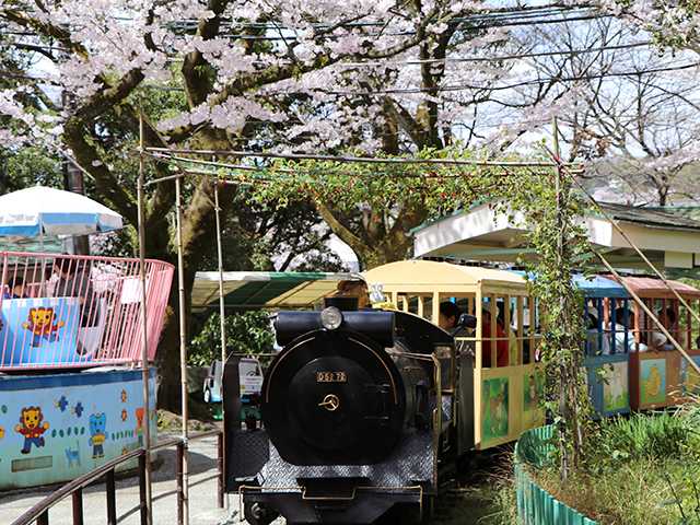 子連れで楽しむ小田原城 NINJA館、こども遊園地、自然観察 親子一緒に楽しめる！小田原城址公園内のおススメスポットをご紹介♪ 小田原市湘南エリア横浜・湘南で子供と遊ぶ - あそびい横浜・湘南