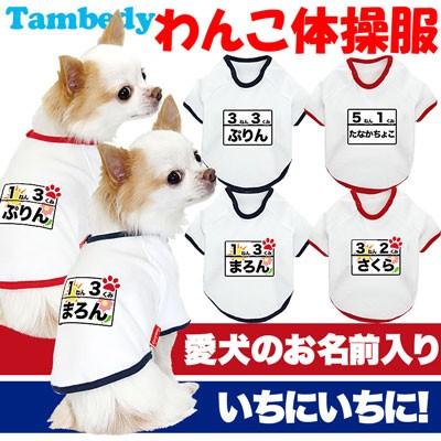 冬の花にまつわる女の子名前