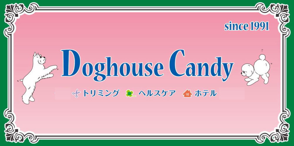 犬が『舐めてくる』心理5つ 飼い主のことをペロペロと舐める意味や注意点とは？ (2024年5月14日)