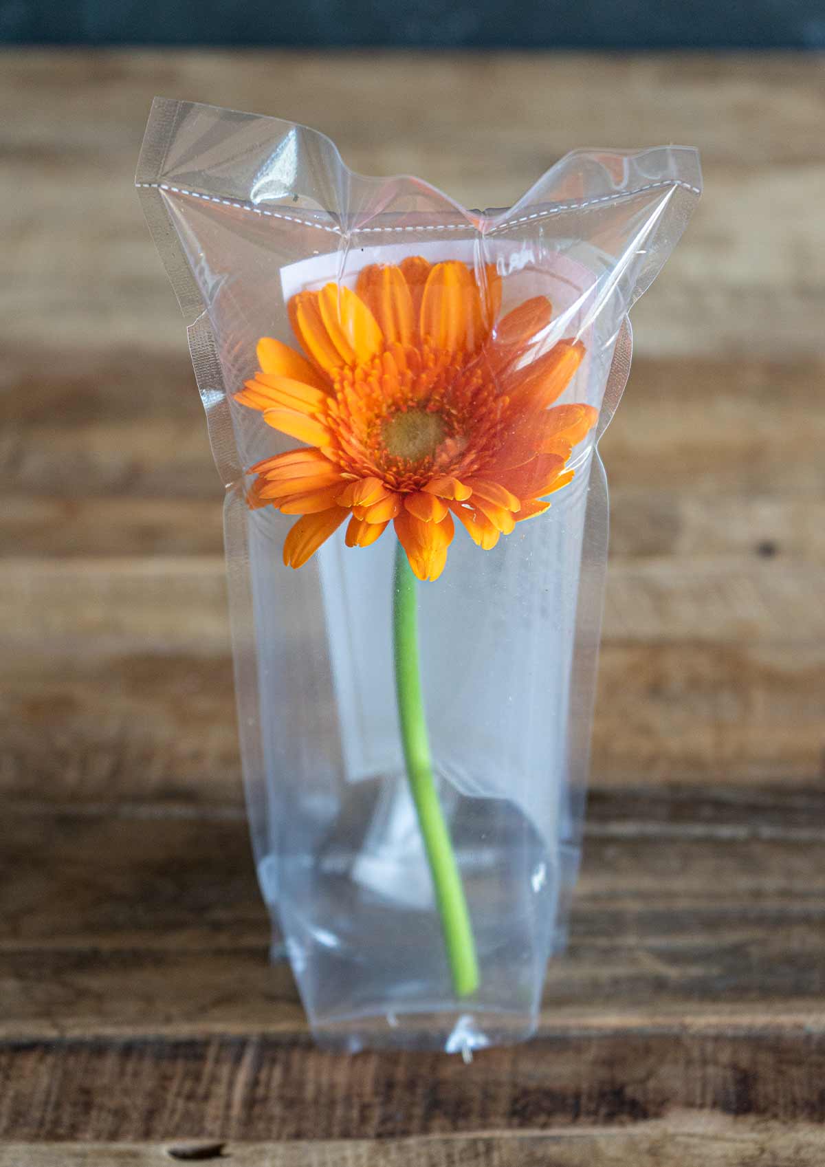 卒業式のお祝いの花束花のアトリエ大川 - 東大阪市のお花屋さん
