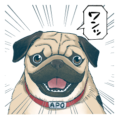 和田兄弟の諸事情全2巻Kindle版