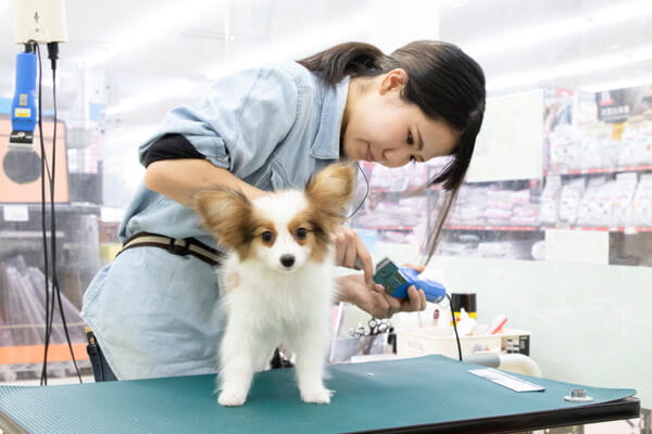 写真 : コメリパワー河渡店 ペットパーク