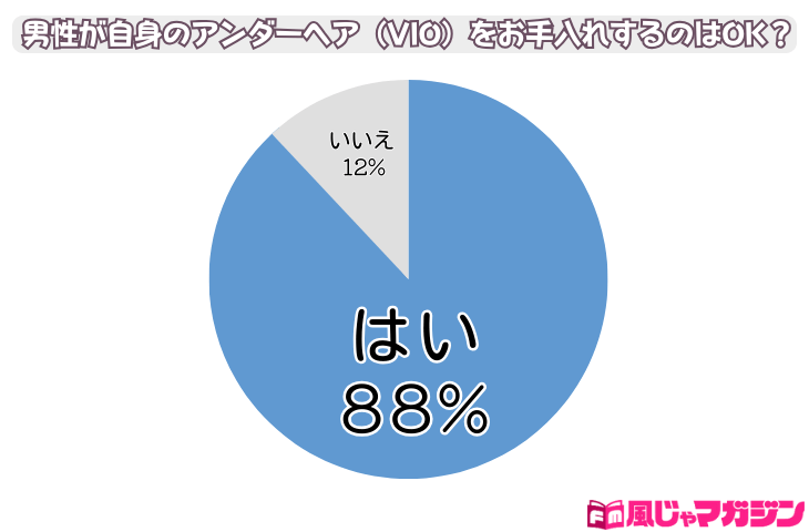 ハイジニーナ・脱毛・プロフィール｜ましろのパイパン日記