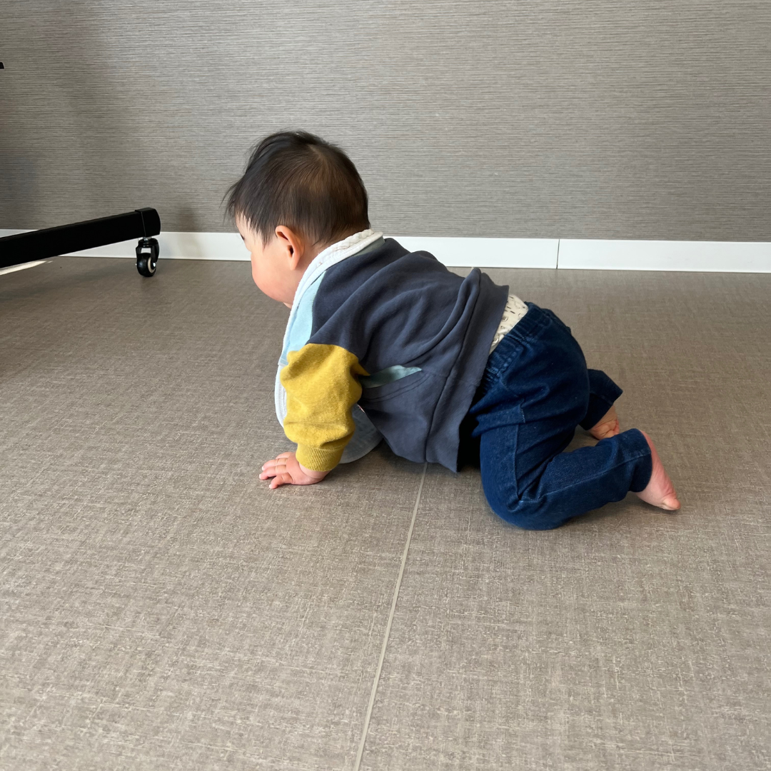 Baby Party&ハイハイレースイベント紹介住宅展示場・モデルハウスの本庄ハウジングステージ