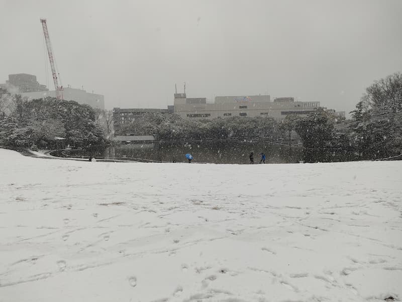 23区、多摩に大雪警報 ／東京 |