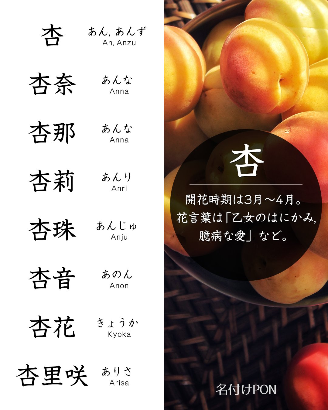 夏に咲く花にちなんだ女の子のかわいい名前67選赤ちゃんの名づけお役だち情報