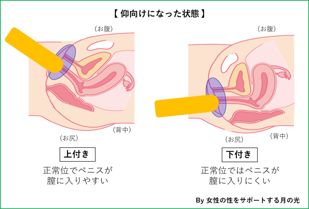 ほとんどの男子が知らない寝バックのやり方！抜けないコツも徹底解説｜駅ちか！風俗雑記帳