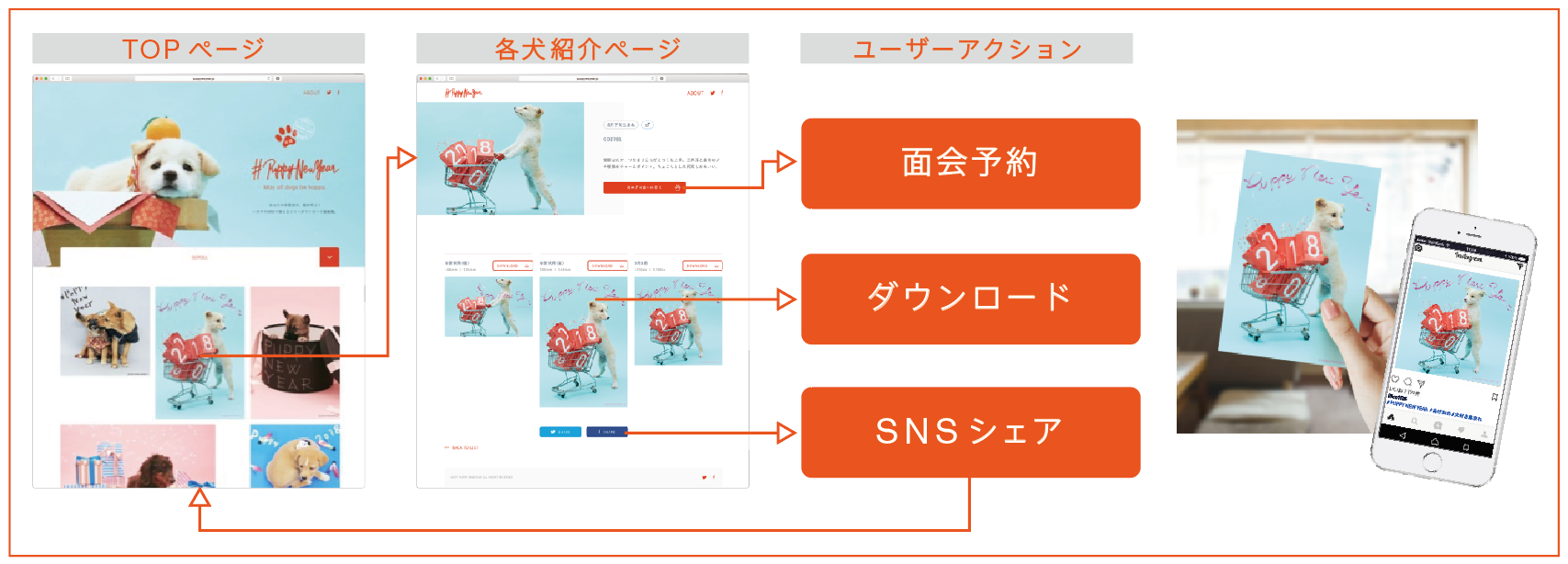 年賀状のデザインにペットの写真を使うのはＯＫ？ペットの写真をうまく撮るコツとはフタバコ年賀状のお役立ち情報サイト