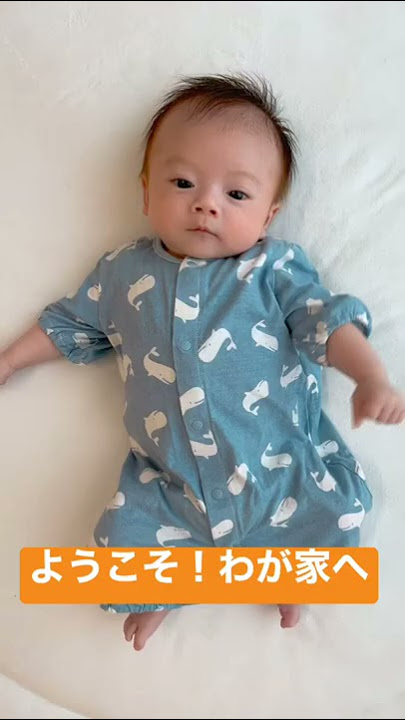 ペガくんと秘密基地TikTok