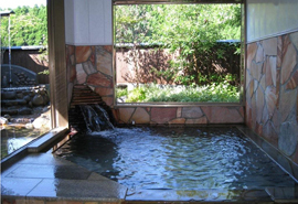 熊本県の温泉ノート: 家族湯 七城の森