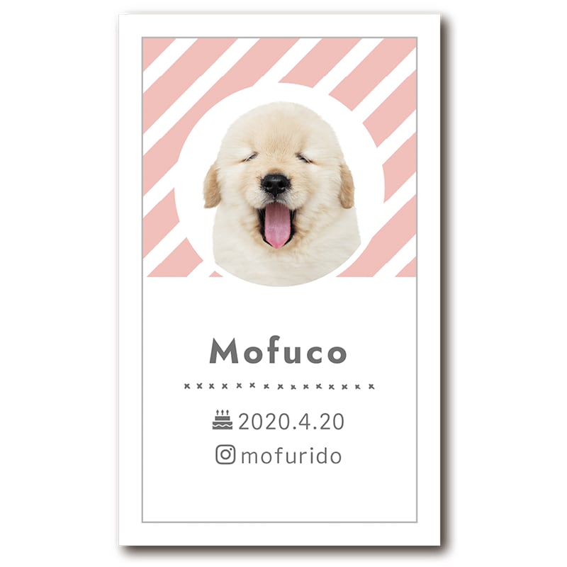 両面100枚 2匹用多頭飼い 2頭 犬名刺 猫名刺 ペット名刺 うちの子名刺 名刺入れ 名刺ケース カード オーダーメイド オリジナル親バカグッズ うちの子グッズ 犬用 猫用 ペット用Pay ID