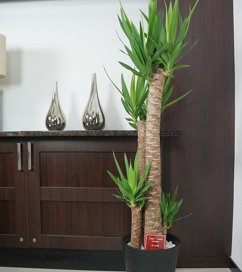 中学生子供部屋と オシャレすぎたIKEAインテリア2025100均de 海外風インテリア&パーティ&DIY 国際離婚シングルマザー