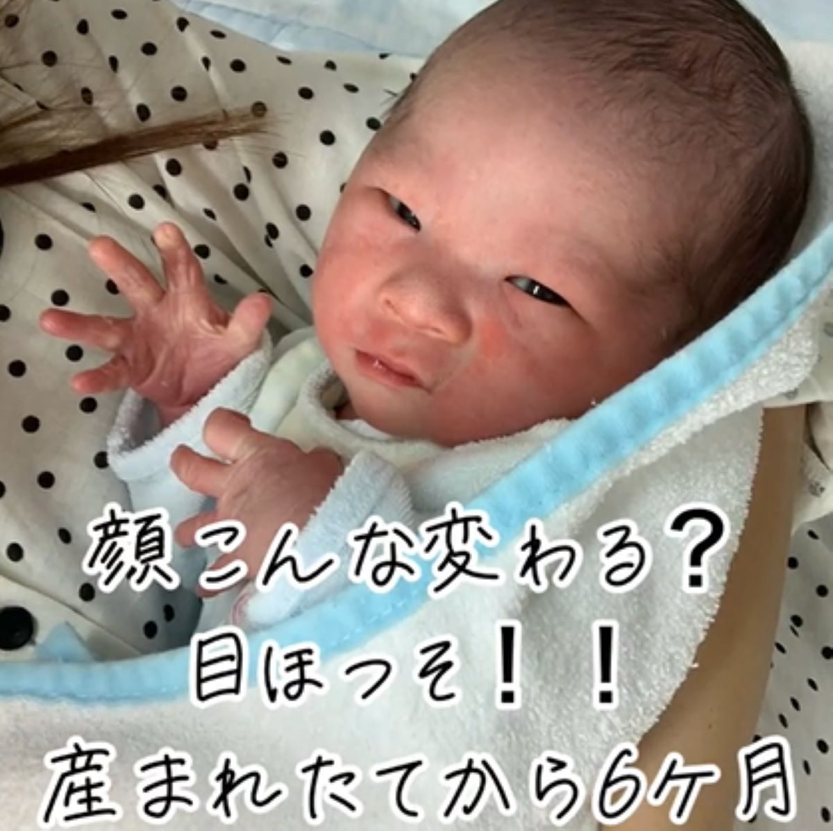 面白画像 ヤクザ赤ちゃん 爆笑 :爆笑・衝撃 超面白動画・画像まとめ 奇跡・感動 日本最大級の面白 おもしろ画像紹介サイト※リツイート・シェア・いいね！大歓迎