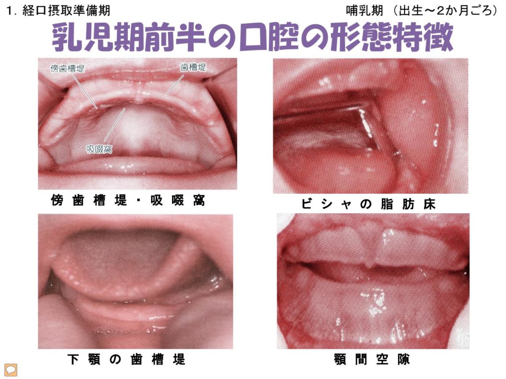 有名サロンがお悩み解消！vol.7 下膨れ・セミロング・シースルー 骨格・レングス・前髪別特集 美的News