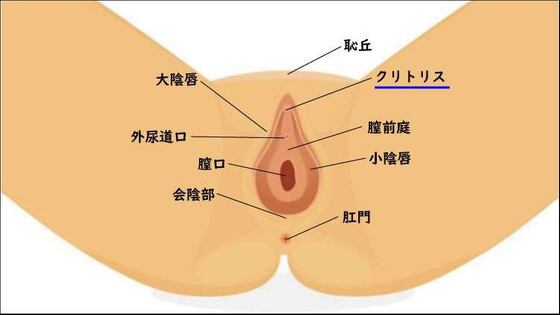 彼女をいかせるには5つの攻め方とコツがポイント！イカない原因と開発方法もご紹介 | Ray(レイ)