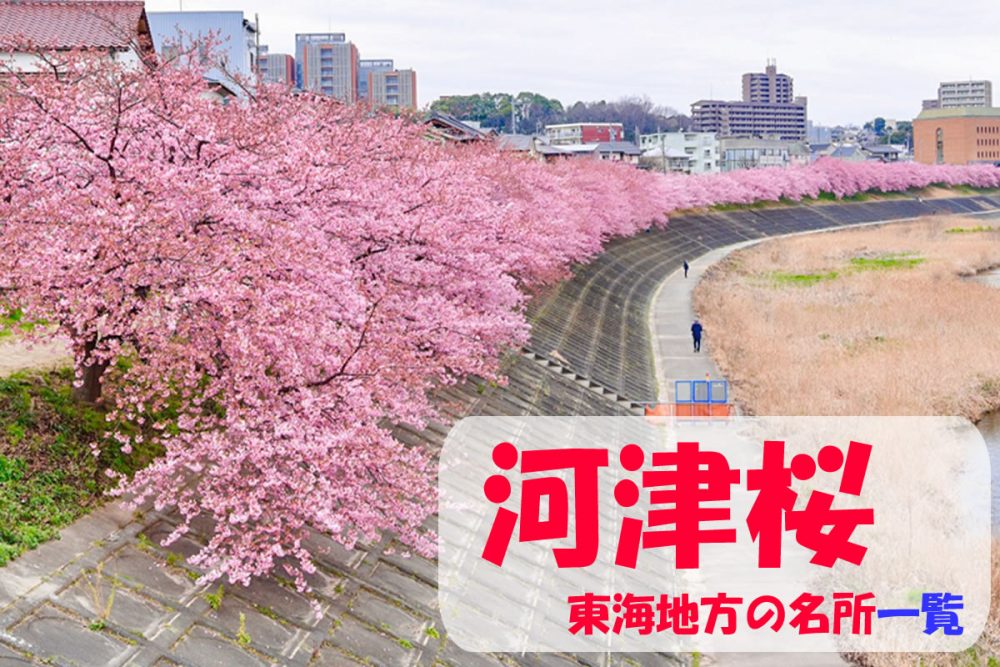 2020年02月 - 花とみどりのお知らせ - 水とみどり・花の情報 - 公益財団法人 えどがわ環境財団