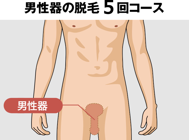 THR光脱毛の男性VIO脱毛効果が凄すぎて笑える結果になった件 | 東京新宿メンズ脱毛 ｜ 東京新宿駅5分