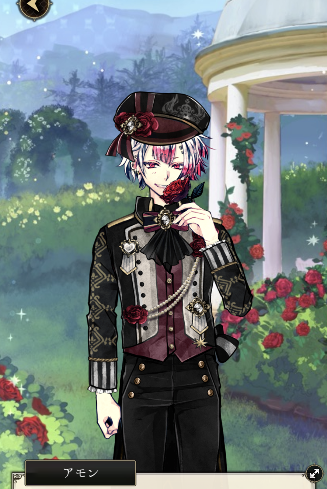 匿名配送 あくねこ アモン バレンタイン Birthdayグッズ2024 - メルカリ