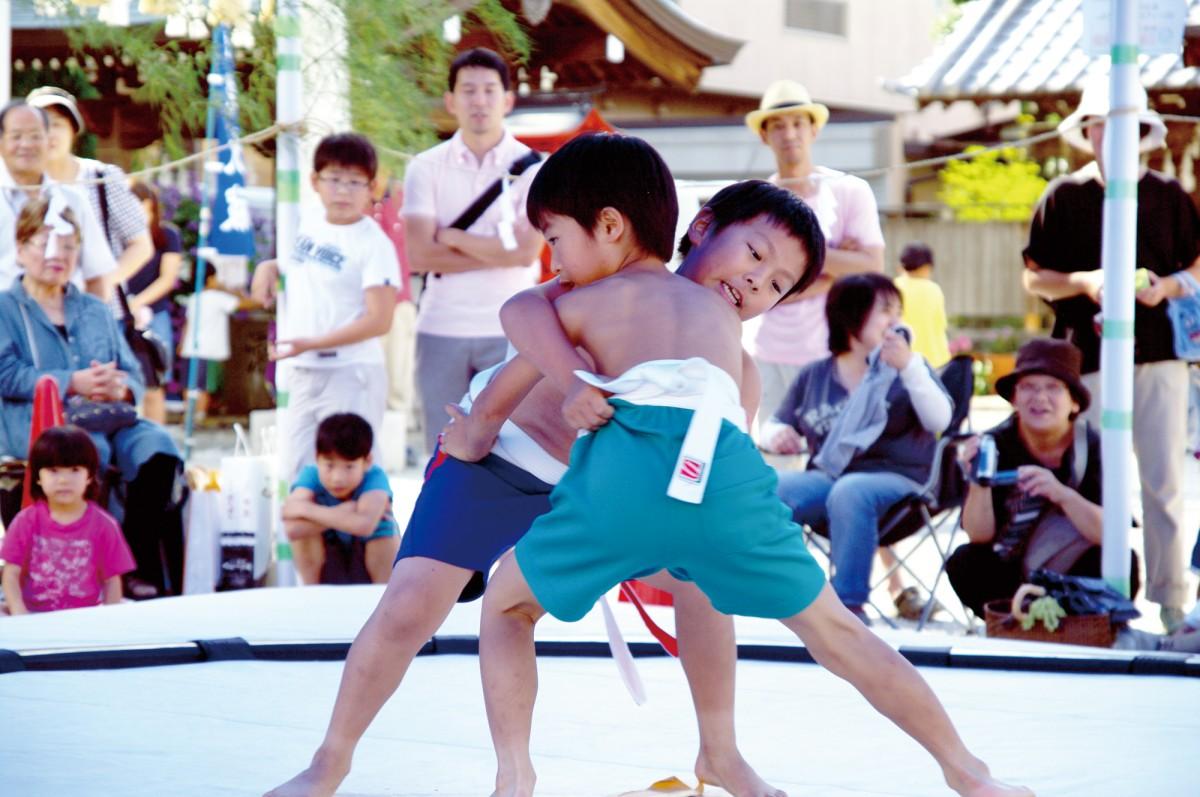 船橋大神宮子供相撲 和田フォト