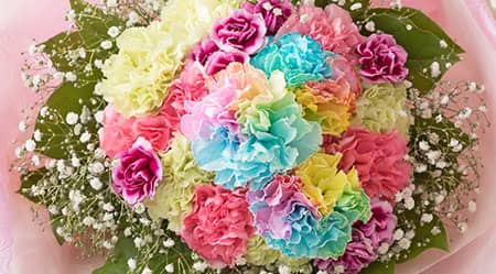 カーネーションの花言葉とは？色で意味が違う？母の日にカーネーションを贈る理由も花・花束を贈るフラワーギフト通販の 日比谷花壇 公式