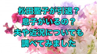 松田聖子 現在の旦那の顔写真と驚きの年収、職業を徹底解説流行通信