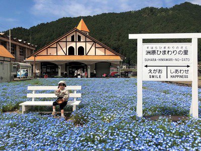 ハピネスひまわりの里(大阪府八尾市) - いい介護【公式】