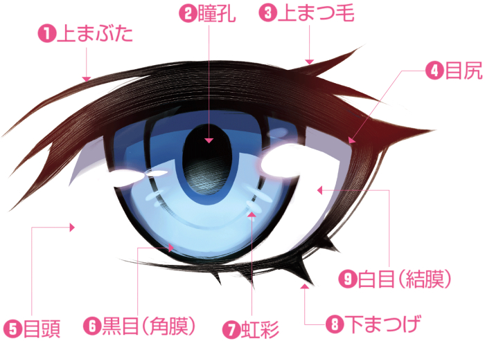 簡単！目の描き方鉛筆で少女漫画の目を書くコツ小学生１〜３年生向け How to draw a eye, girls comics