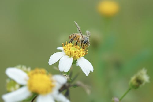 六十路を楽しく・自分らしく ムソジェンヌの生き方：テレポートプラス - FTV 福島テレビ