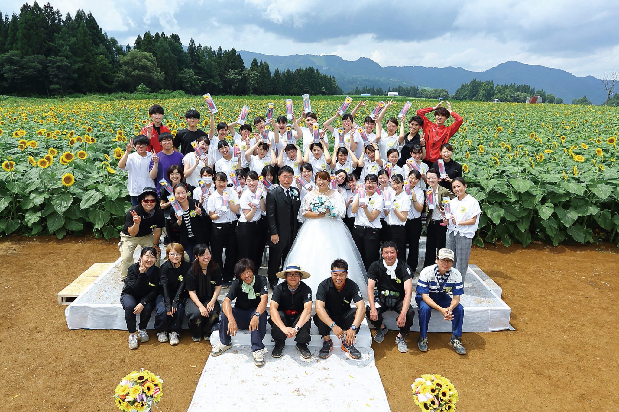 楽天市場53コ プチギフト お菓子 ひまわりガーデン５３個セット 結婚式 名入れ ウェルカムボード ウェディング ひまわり クッキー 紅茶クッキー演出 記念日 花 フラワー 夏 ウェルカムスペース ウェルカムスペース装飾 : ウエディングマルシェ Rocca