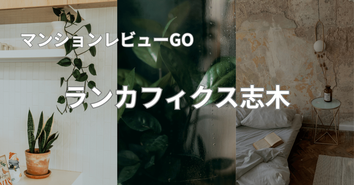 ママスタ 小林礼奈芸能人愛用の人気ファッションブランドまとめトレンド情報を徹底解説 2025年最新