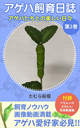 アゲハの「ぼかし機能」を使ってビデオ通話を快適に✨｜ageha - アゲハ@業界一稼げるチャトレアプリ🦋