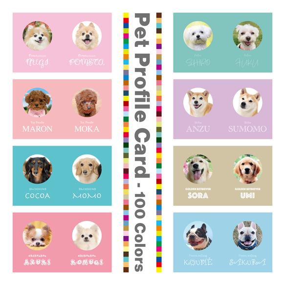 両面100枚 2匹用多頭飼い 2頭 犬名刺 猫名刺 ペット名刺 うちの子名刺 名刺入れ 名刺ケース カード オーダーメイド オリジナル親バカグッズ うちの子グッズ 犬用 猫用 ペット用opg1