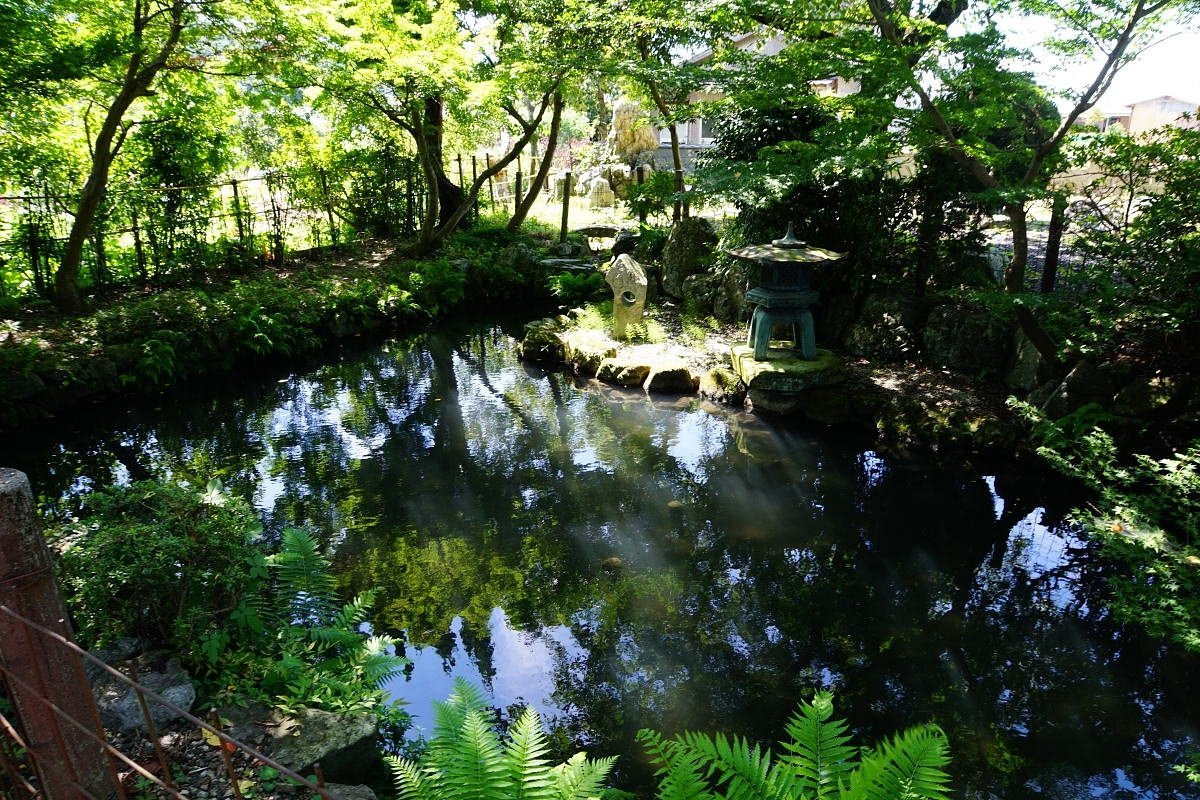 湘和会館 愛甲石田」の斎場詳細安心葬儀