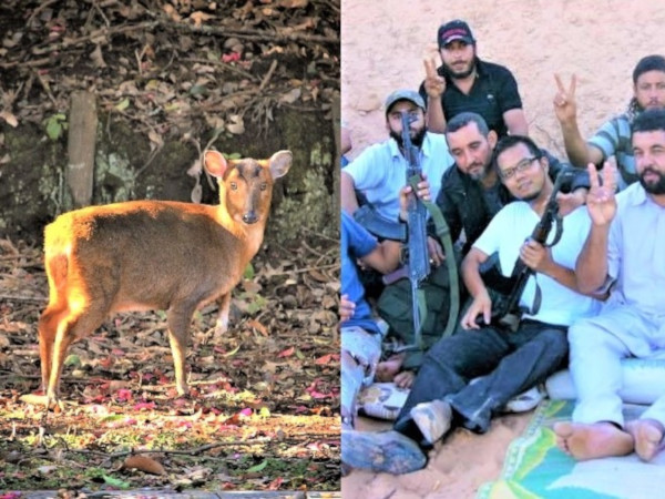 露伴ロハンROHAN on X: 