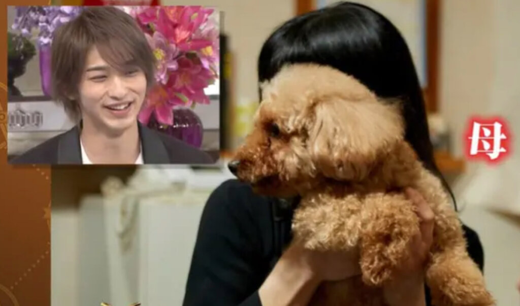 横浜流星の父親・母親・兄弟の家族エピソード！ひょっとして大工になっていた