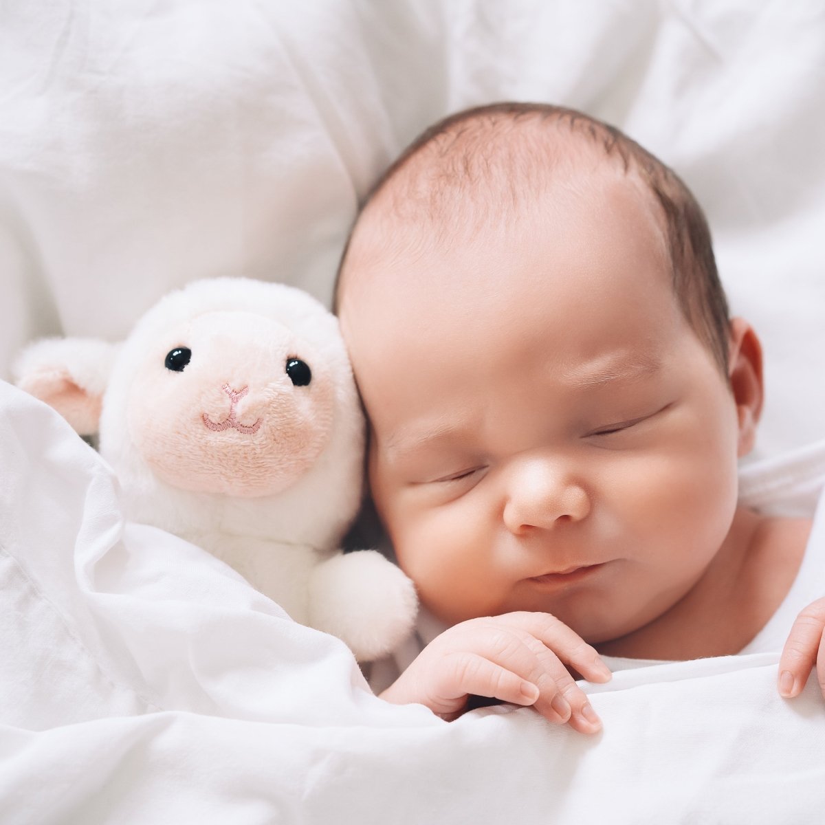 出産報告-N25E372年賀状印刷なら挨拶状.com 2026年 午年版