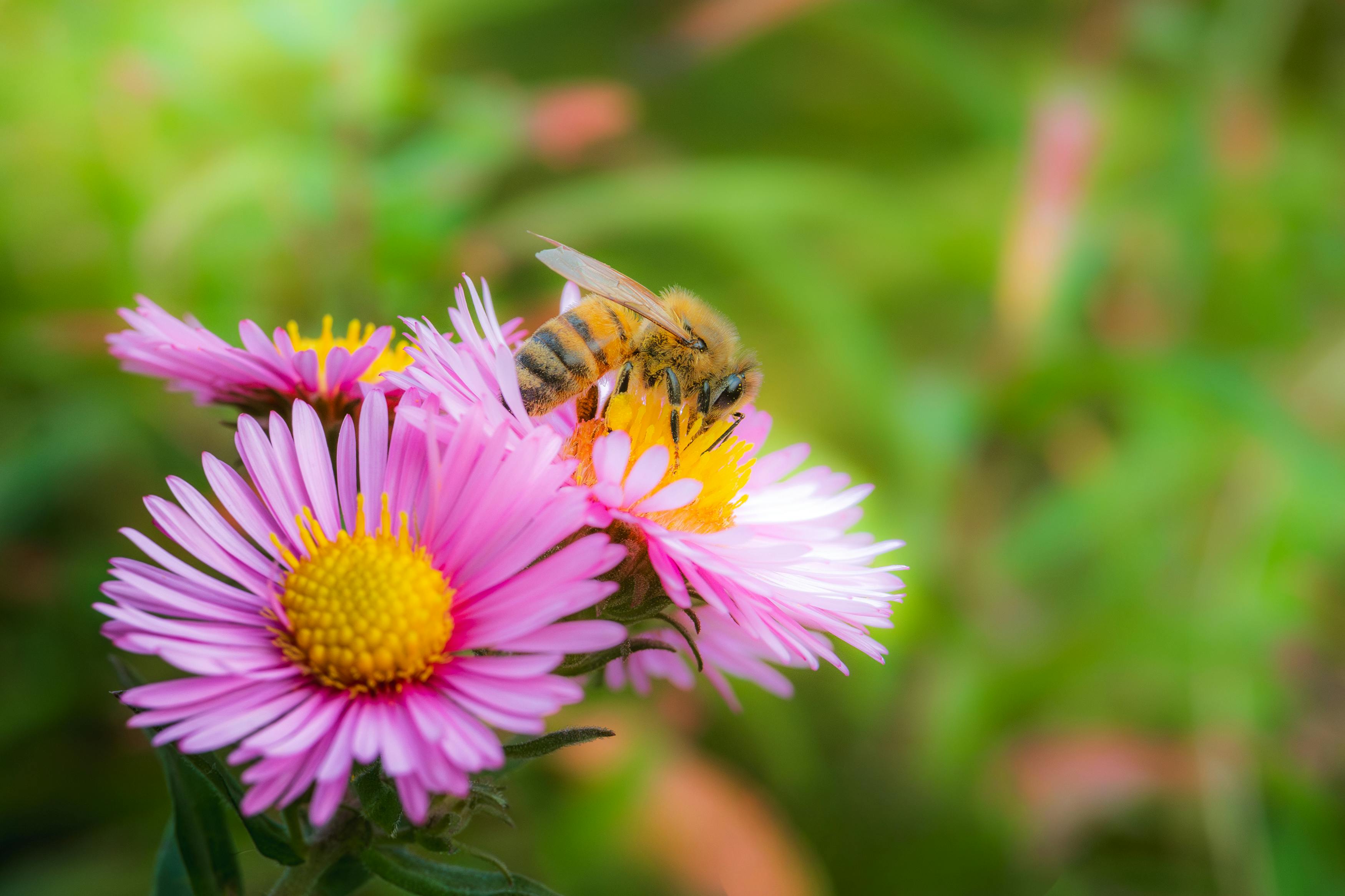 Amazon.co.jp:アテナ映像現場スチール写真集昭和六十路熟女色情交尾ドラマ 内原美智子 61歳アテナ映像 E-BOOKSERIESeBook : アテナ映像 E-BOOK SERIES, 内原美智子: Kindleストア
