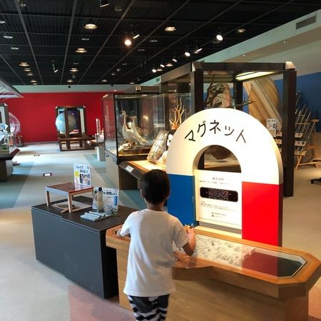 2025年 向井千秋記念子ども科学館 - 出発前に知っておくべきことすべて - トリップアドバイザ