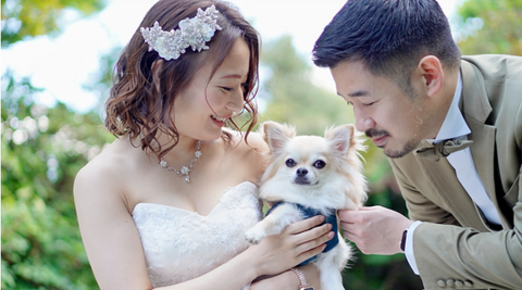 Apple Watch アップルウォッチ は冠婚葬祭での利用でもマナー的に問題ない？スマホライフPLUS